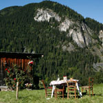 Chamonix in Summer: Summer Picnic